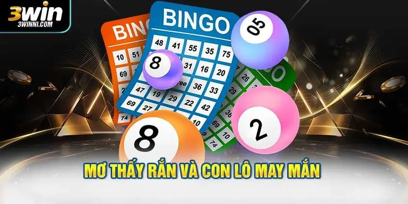 Mơ thấy rắn và gợi ý con lô may mắn từ chuyên gia lô đề
